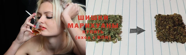 прущий лед Гусев