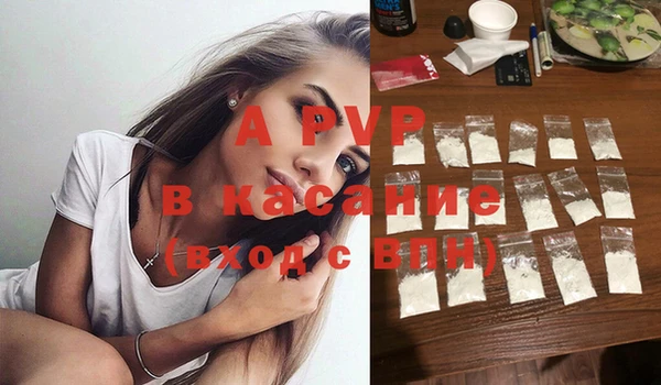 шишки Дмитров