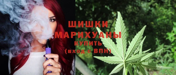 шишки Дмитров