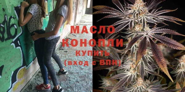 шишки Дмитров
