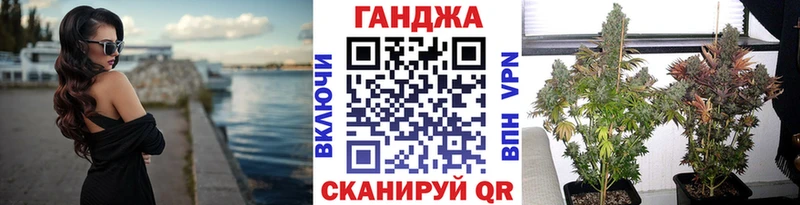 Бошки марихуана ГИДРОПОН  блэк спрут как войти  Данилов 
